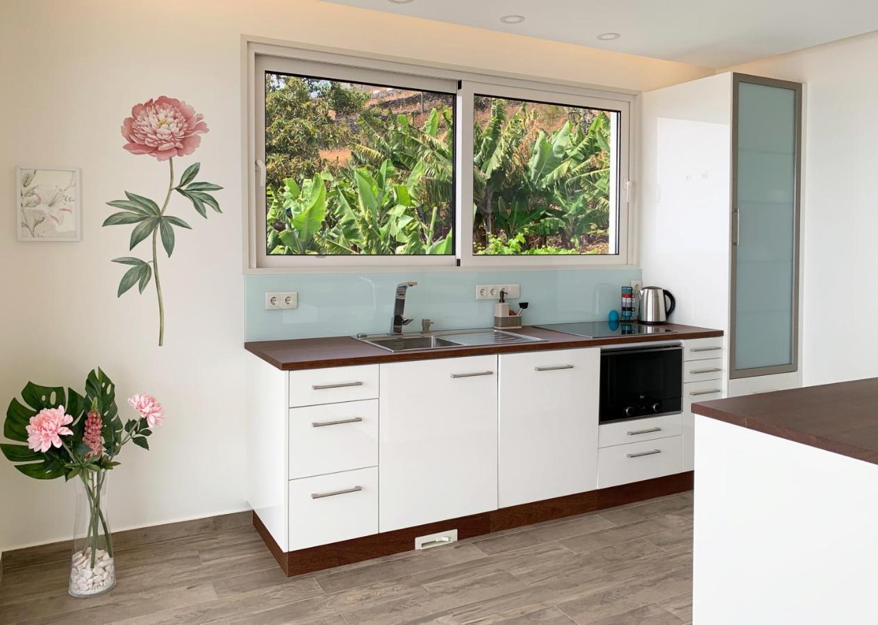 Holiday Apartment Ocean View リベイラ・ブラーヴァ エクステリア 写真